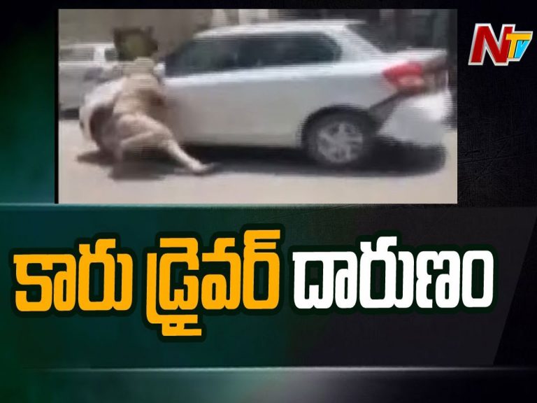 వైరల్ : పంజాబ్‌లోని కారు డ్రైవర్ హల్‌చల్…
