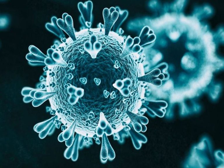 పొంచివున్న మరో కరోనా ముప్పు…