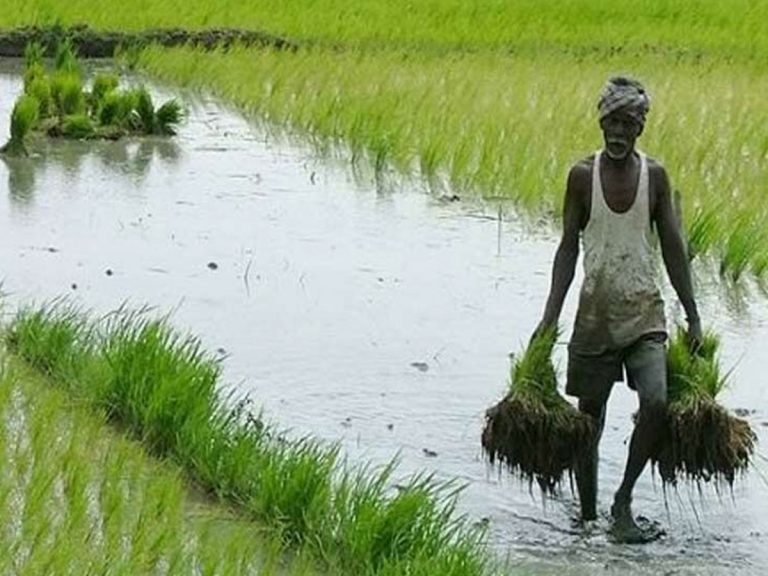 రేపటి నుండి రుణమాఫీ.. నేడు ట్రయల్ రన్