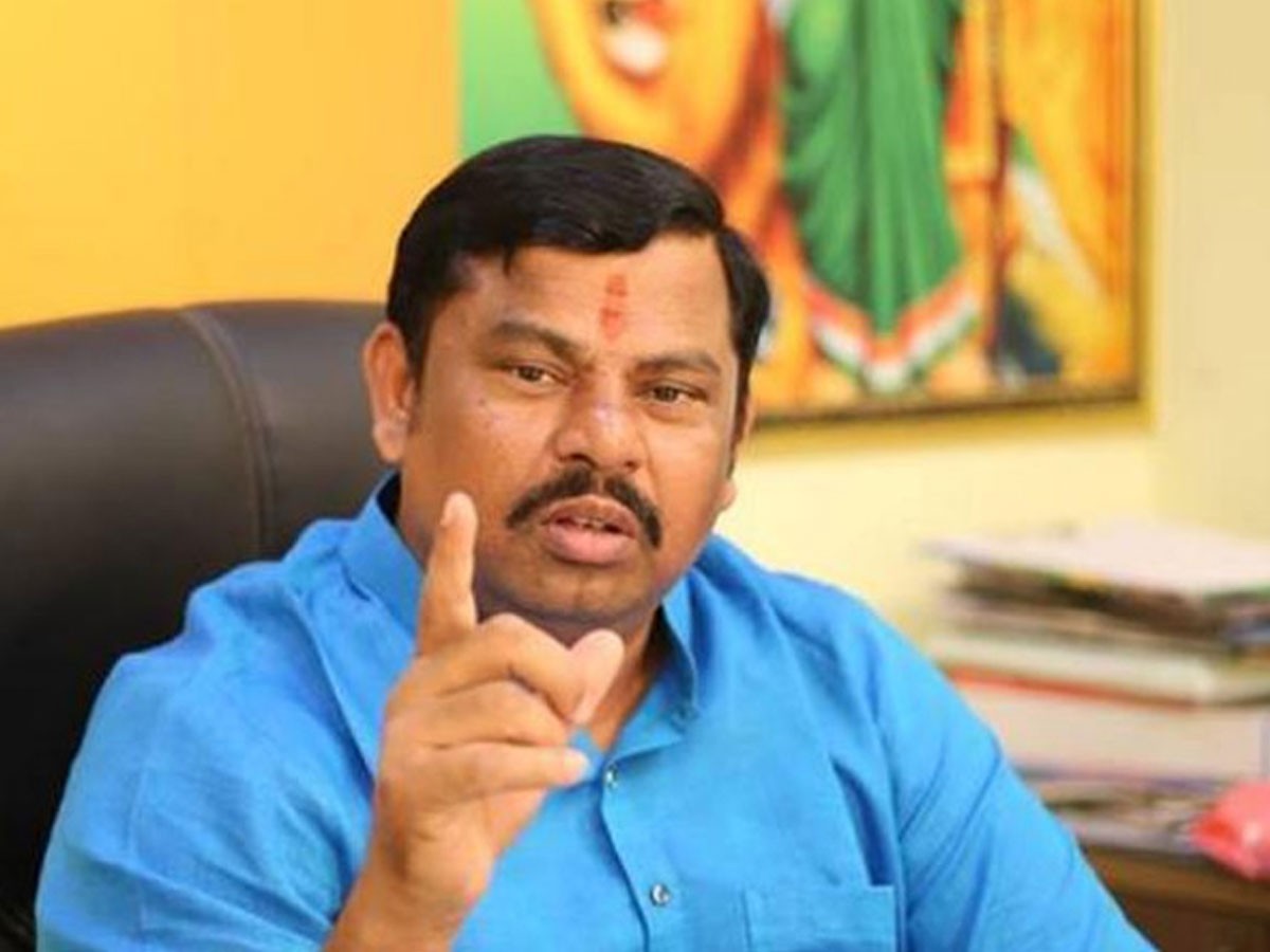 ఎంఐఎం దొంగలను పాకిస్తాన్ కు పంపిస్తాం : రాజాసింగ్