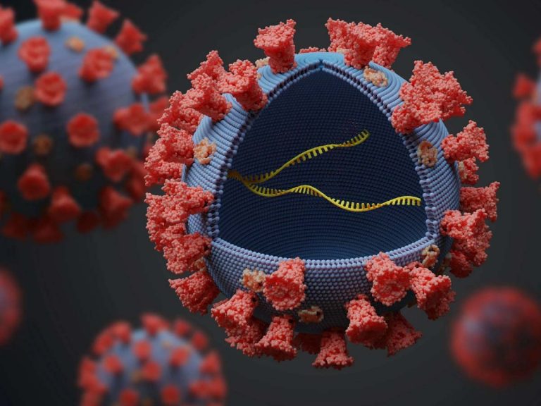 అల‌ర్ట్‌:  తెలుగు రాష్ట్రాల్లో మ‌రో కొత్త వేరియంట్‌… అప్ర‌మత్తంగా ఉండాల‌ని హెచ్చ‌రిక‌…