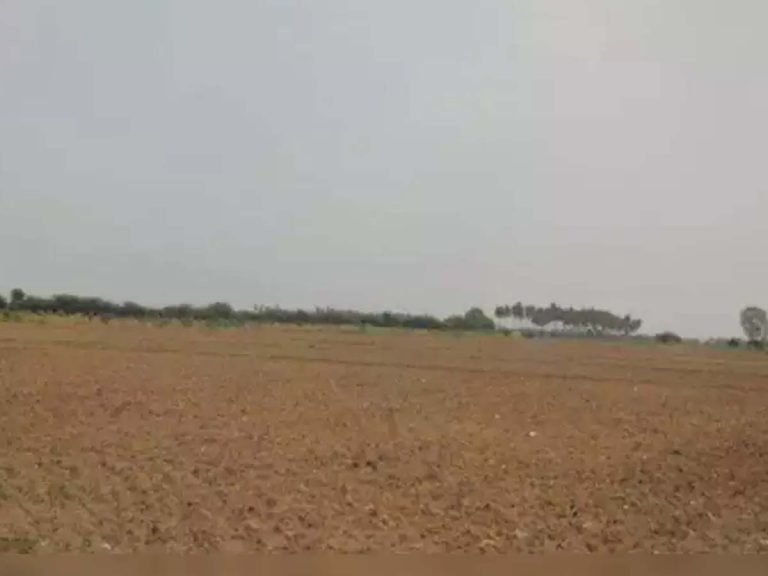 అనంత‌పురంలో రాత్రివేళ పోలంలో వింత‌శ‌బ్దాలు… వెళ్లి చూడ‌గా…