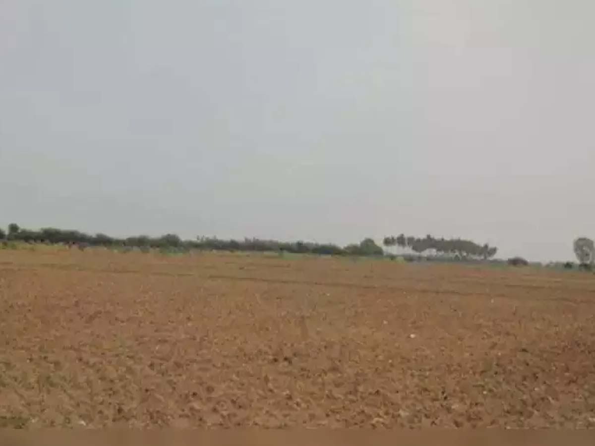 అనంత‌పురంలో రాత్రివేళ పోలంలో వింత‌శ‌బ్దాలు… వెళ్లి చూడ‌గా…