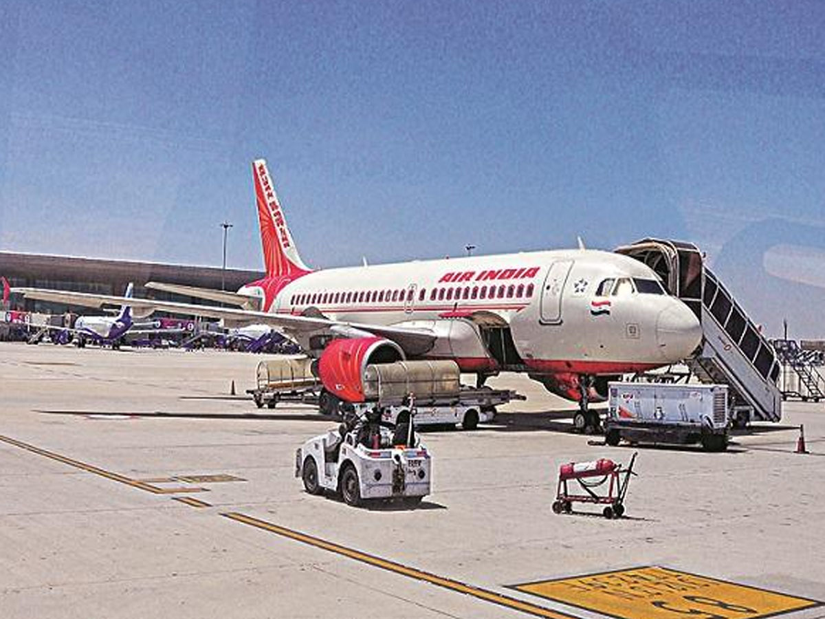 విమానంలో చీమ‌లు…హాలీవుడ్ సినిమాను త‌ల‌పించిన సీన్‌…