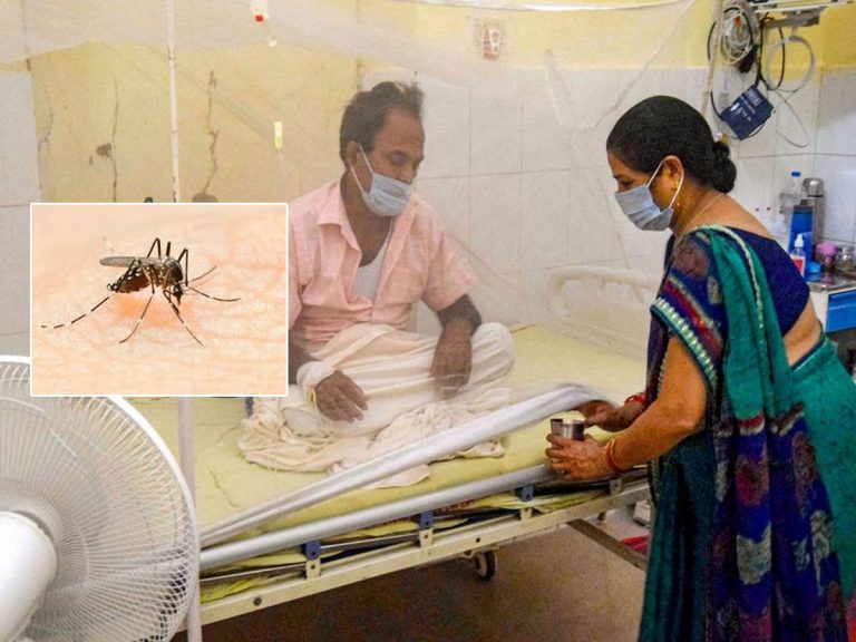 డెంగీ జ్వరాలపై రాష్ట్రాలను కేంద్రం హెచ్చరిక