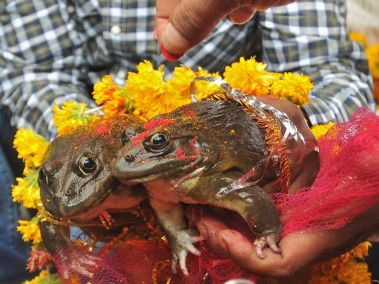 అనాగ‌రిక చ‌ర్య‌: వ‌ర్షం కోసం ఆ బాలిక‌ల‌ను అలా…