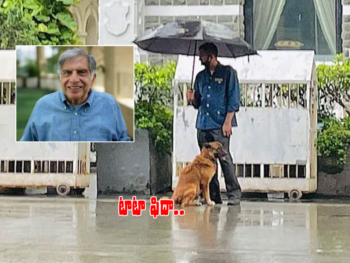 ఆ ఫొటో రతన్ టాటాను కదిలించింది..