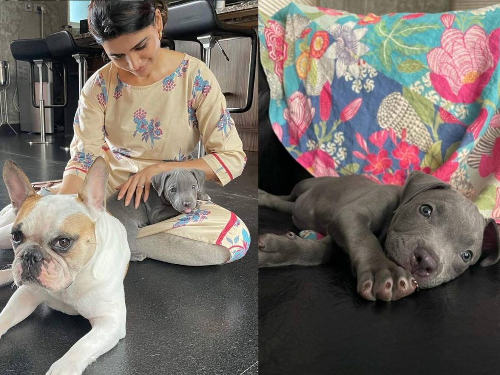 Samantha Welcomes New Dog Sasha In Her Family