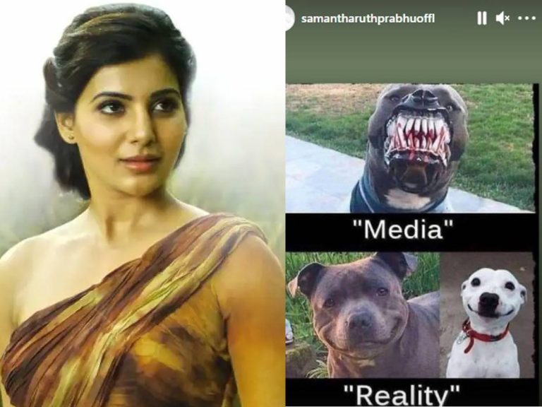 మీడియాపై స్టార్ హీరోయిన్ సెటైర్!