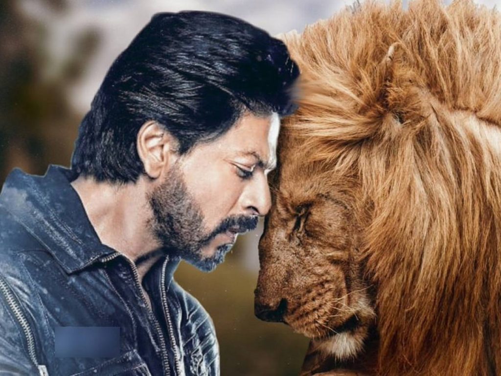 Shah Rukh Khan's next with director Atlee film name is Lion