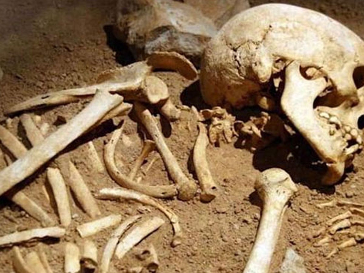 దారుణం: 24 ఏళ్ల త‌రువాత ఆ లిఫ్ట్‌ను తెరిచి చూస్తే…