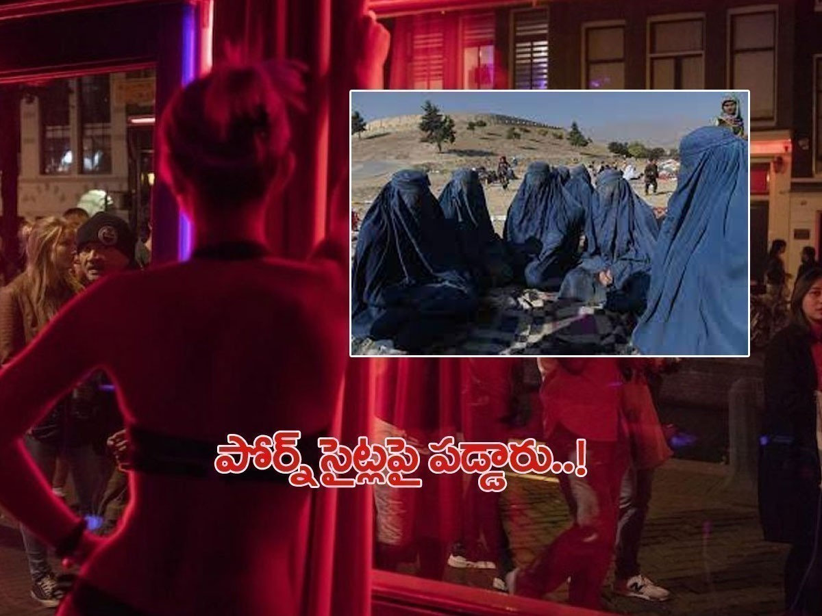 పోర్న్‌ సైట్లు చూస్తున్న తాలిబన్లు.. ఎందుకో తెలిస్తే షాకే..!