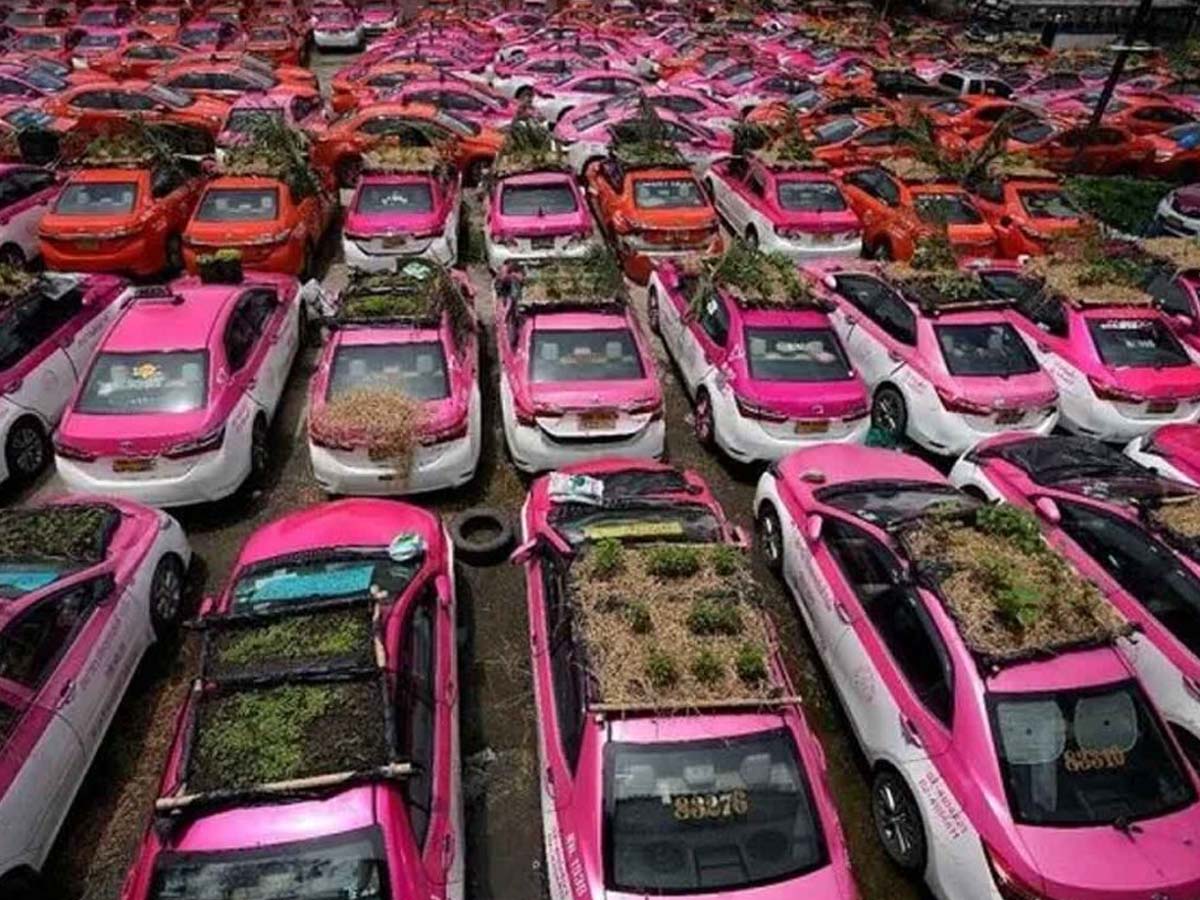 స‌రికొత్త ఆలోచ‌న‌:  ఇది రూఫ్ గార్డెన్ కాదు… టాక్సీ గార్డెన్‌….