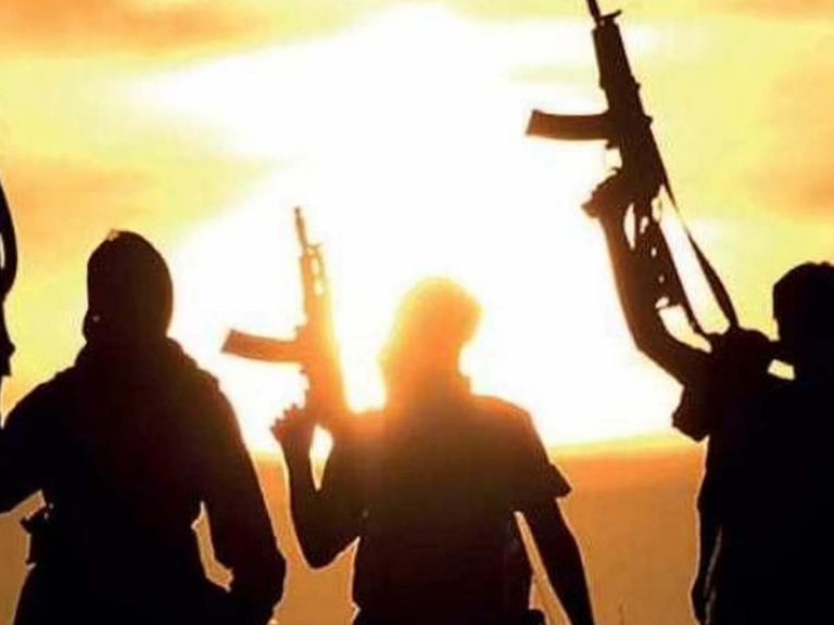 భార‌త్‌లో దాడులకు ఉగ్ర‌వాద సంస్థ‌లు కుట్ర‌లు చేస్తున్నాయా?