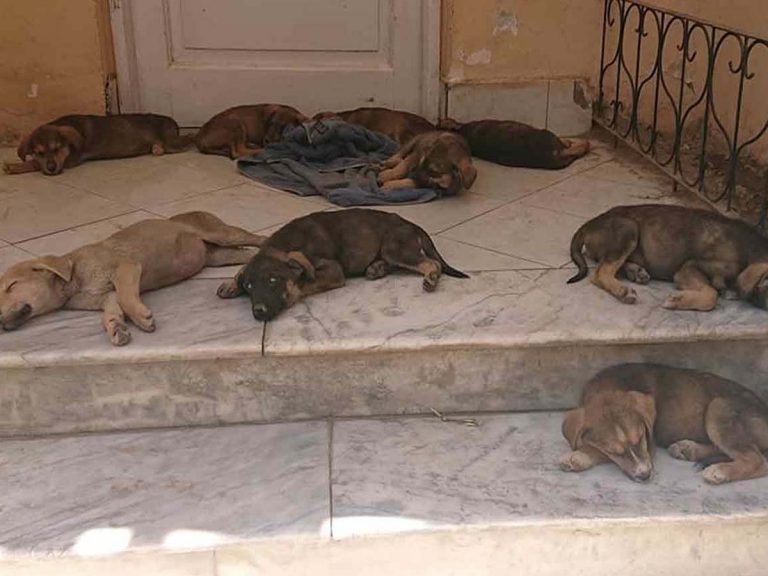 ఆ విష‌యంలో అమెరికా తీరుపై ప్ర‌పంచ వ్యాప్తంగా విమ‌ర్శ‌లు…