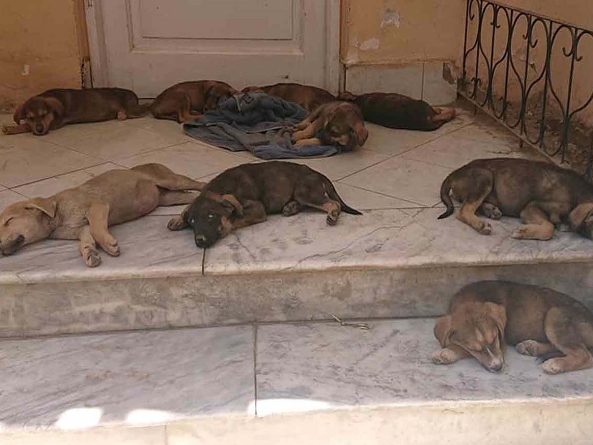 ఆ విష‌యంలో అమెరికా తీరుపై ప్ర‌పంచ వ్యాప్తంగా విమ‌ర్శ‌లు…