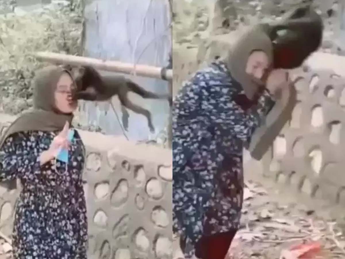 కోపంగా ఉన్న కోతి ప‌క్క‌న నిల‌బ‌డి ఫొటో దిగేందుకు ప్ర‌య‌త్నిస్తే… ఇలానే జ‌రుగుతుంది…!!