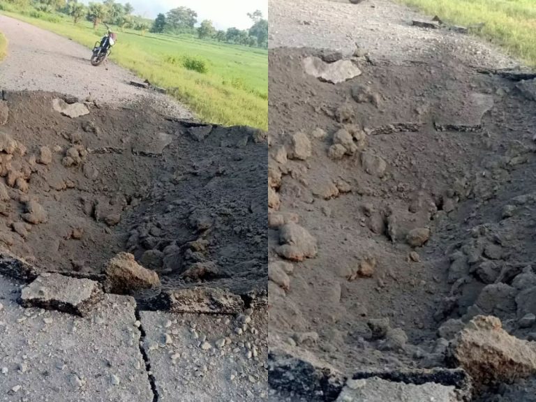 భద్రాద్రి జిల్లాలో పేలిన మందుపాతర