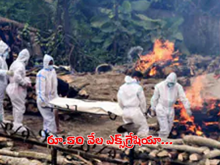 కరోనా మృతుల కుటుంబాలకు ఎక్స్‌గ్రేషియా.. కేంద్రం నిర్ణయం