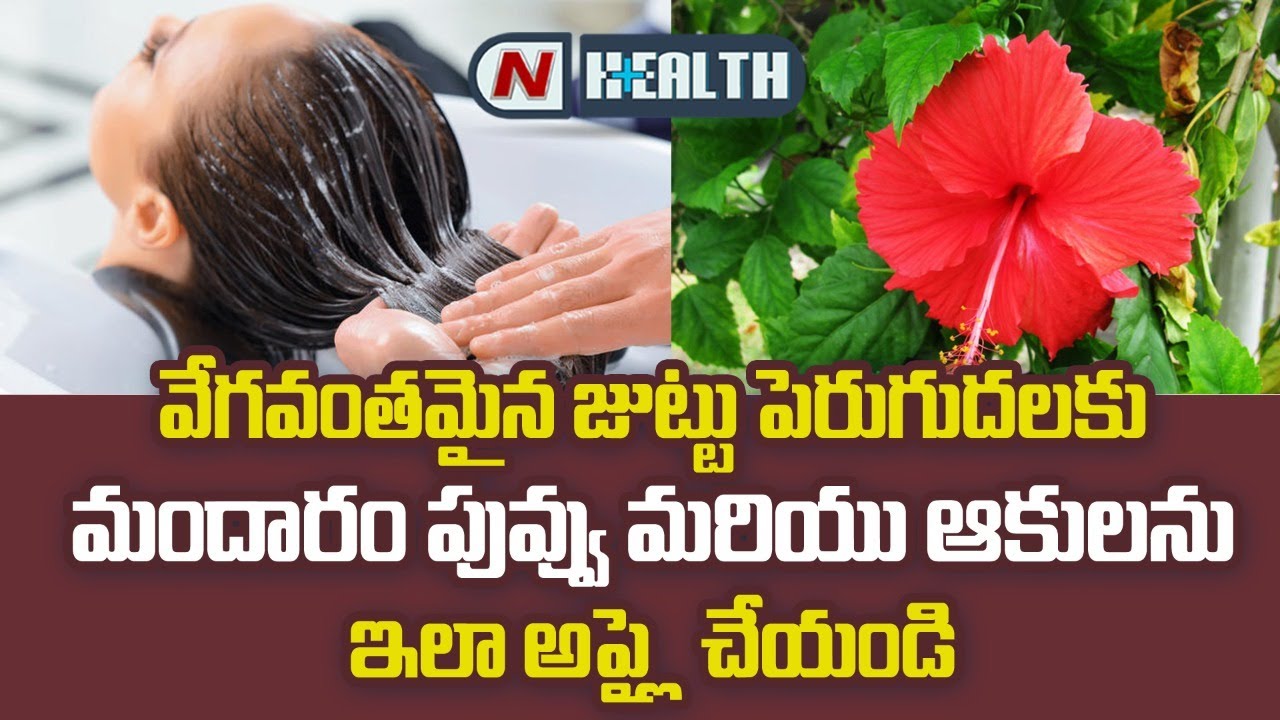 జుట్టు పెరగాలా… మందారంతో ఇలా చెయ్యండి