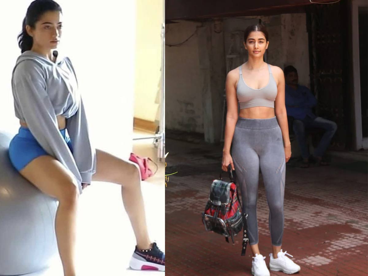 రశ్మిక మీద పూజదే పైచేయి అయిందా!?