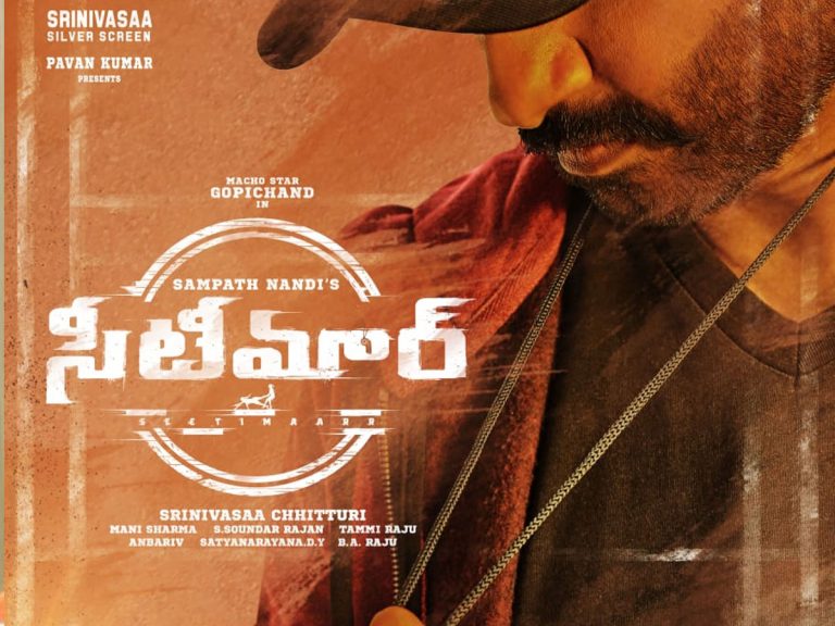 రివ్యూ: సీటీమార్