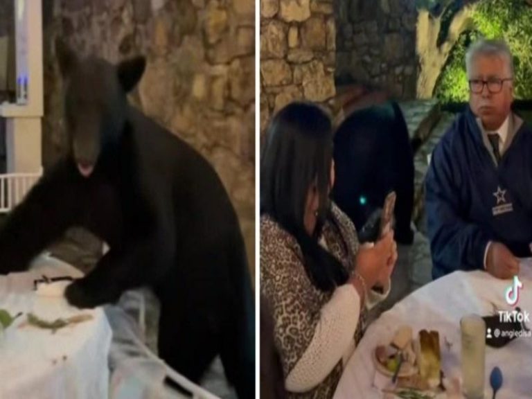 వైర‌ల్‌:  పెళ్లి వేడుక‌ల్లో అనుకోని అతిథి… జనాల ప‌రుగులు…