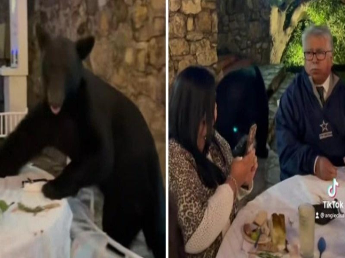 వైర‌ల్‌:  పెళ్లి వేడుక‌ల్లో అనుకోని అతిథి… జనాల ప‌రుగులు…