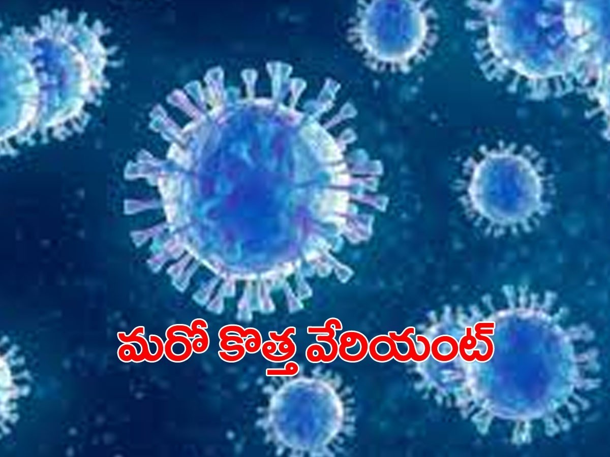 భయపెడుతోన్న కొత్త వేరియంట్..