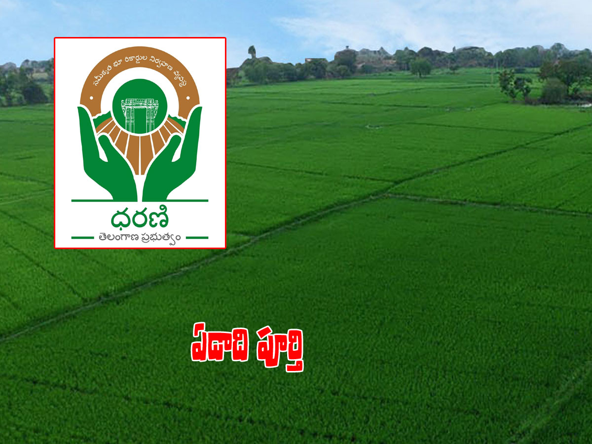 ‘ధరణి’కి ఏడాది.. సమస్యలు ఏమీ లేవా..?