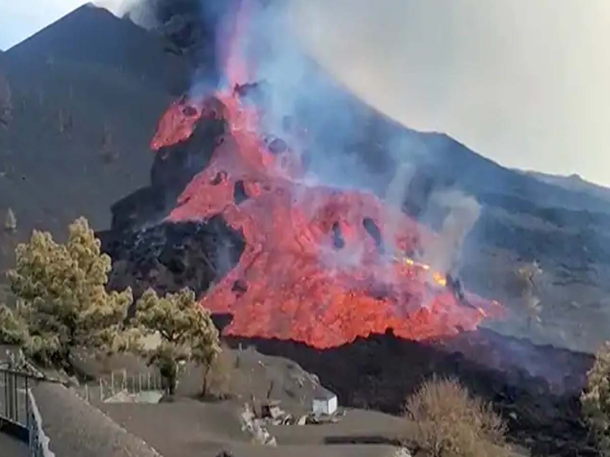 ఊరంతా ఖాళీ… కుక్క‌లకు డ్రోన్‌ల‌తో ఆహారం…