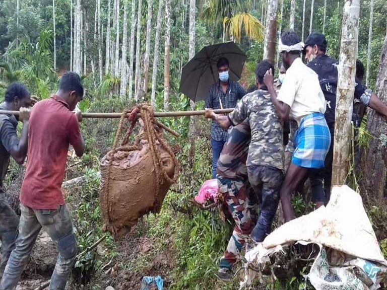 త‌మిళ‌నాడులో హృద‌య విదార‌క దృశ్యం:  ఏనుగును 15 ముక్క‌లు చేసి…