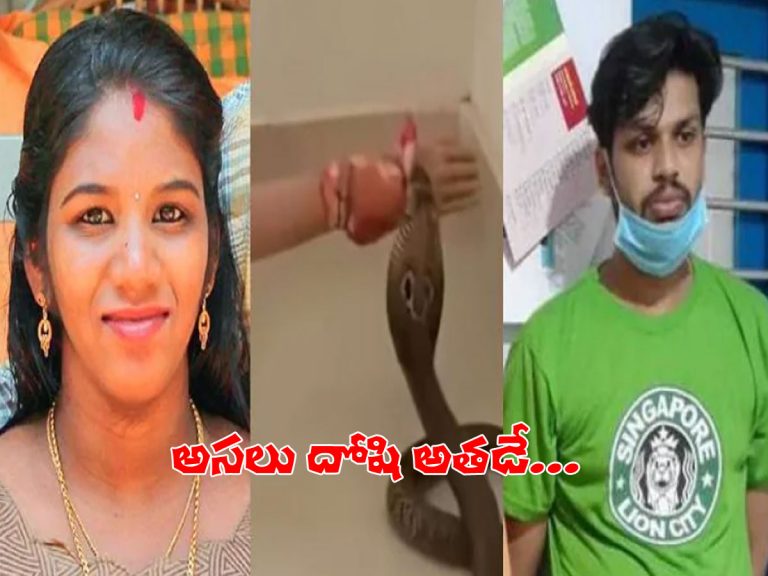 సంచలనం సృష్టించిన కొల్లం కేసు.. అసలు దోషిని తేల్చిన కోర్టు..