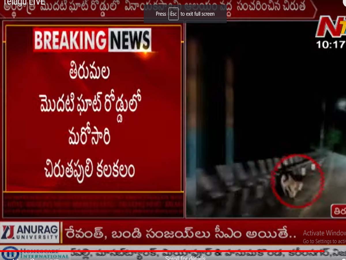 తిరుమ‌ల ఘాట్ రోడ్డులో చిరుత క‌ల‌కలం…