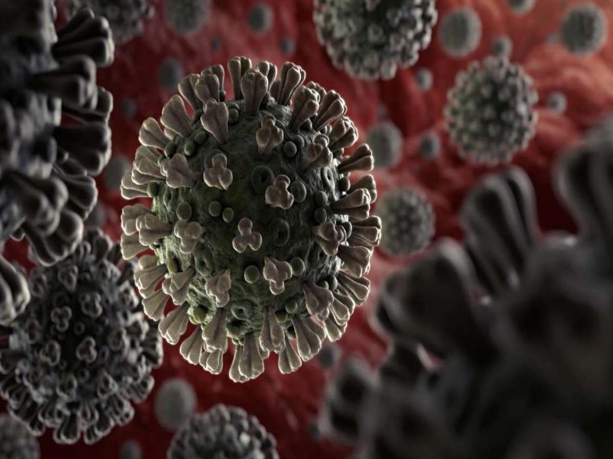 పాక్‌లో మ‌రో కొత్త వేరియంట్‌…