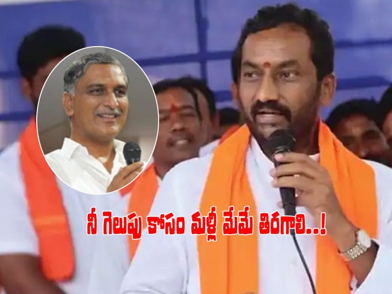 హరీష్‌పై రఘునందన్‌ సంచలన వ్యాఖ్యలు.. 6 నెలల తర్వాత ఔట్‌..!