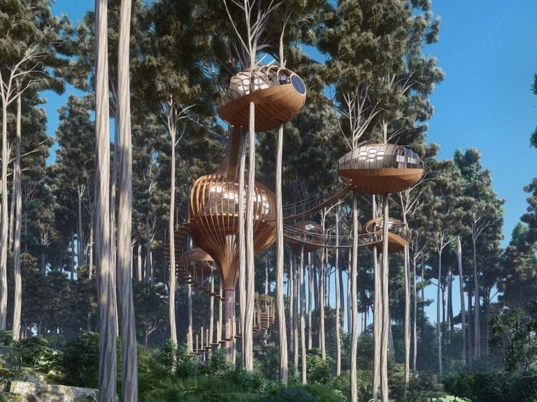 చెట్టుపైన గూళ్లు…కాదు ఇవి హోట‌ళ్లే…