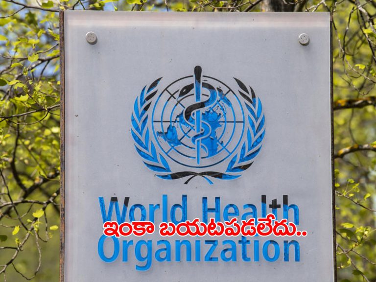క‌రోనావైరస్‌.. డ‌బ్ల్యూహెచ్‌వో తాజా వార్నింగ్