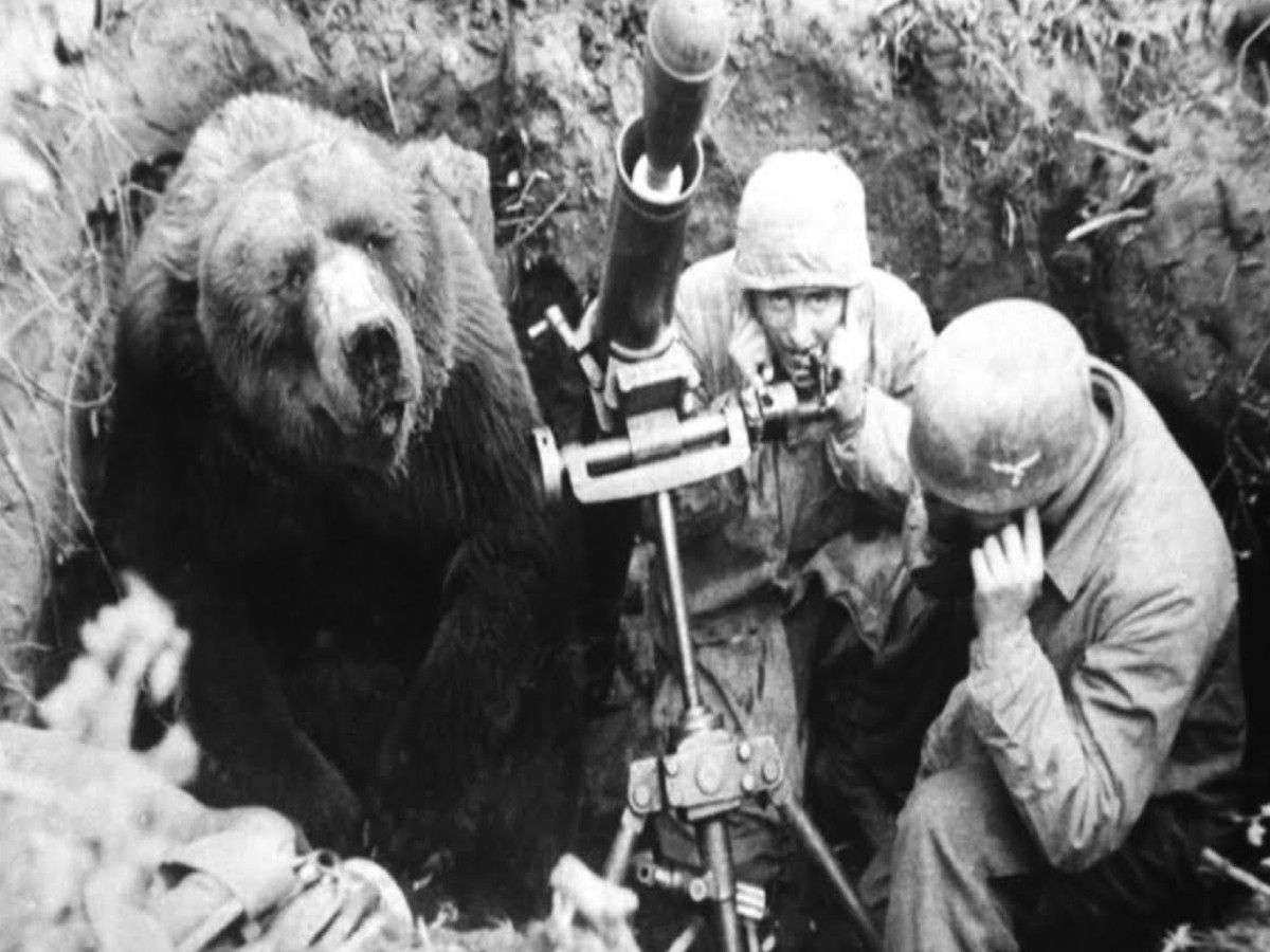 రెండో ప్ర‌పంచ యుద్ధంలో ఇదే అస‌లైన హీరో…