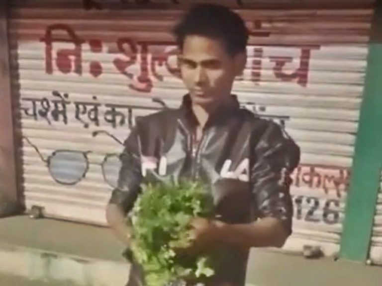 కొత్తిమీర తినేవాళ్లు ఈ వీడియో చూస్తే షాక్ అవ్వాల్సిందే