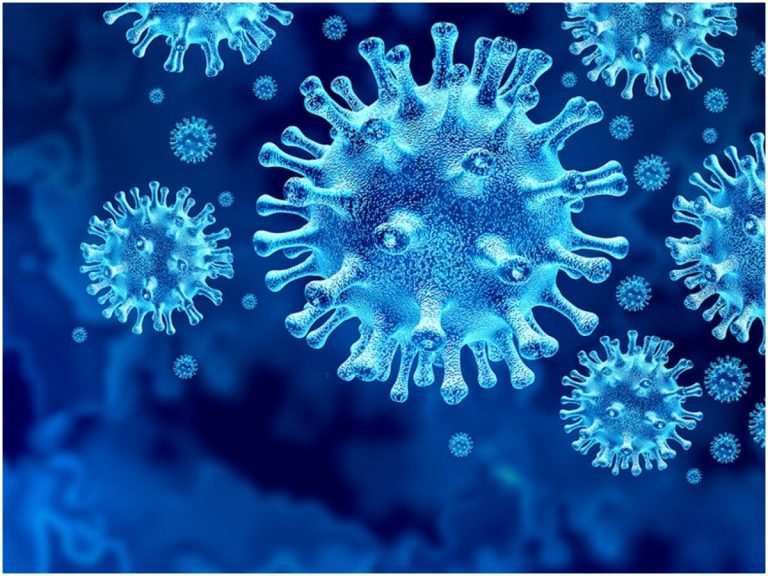 బెంగళూరు స్కూల్లో కరోనా భయం