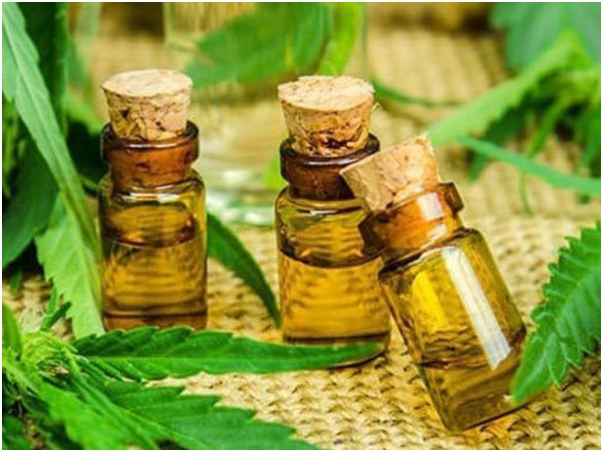 గంజాయి సెర్చ్ ఆపరేషన్.. 100 కిలోల గంజాయి, నూనె సీజ్