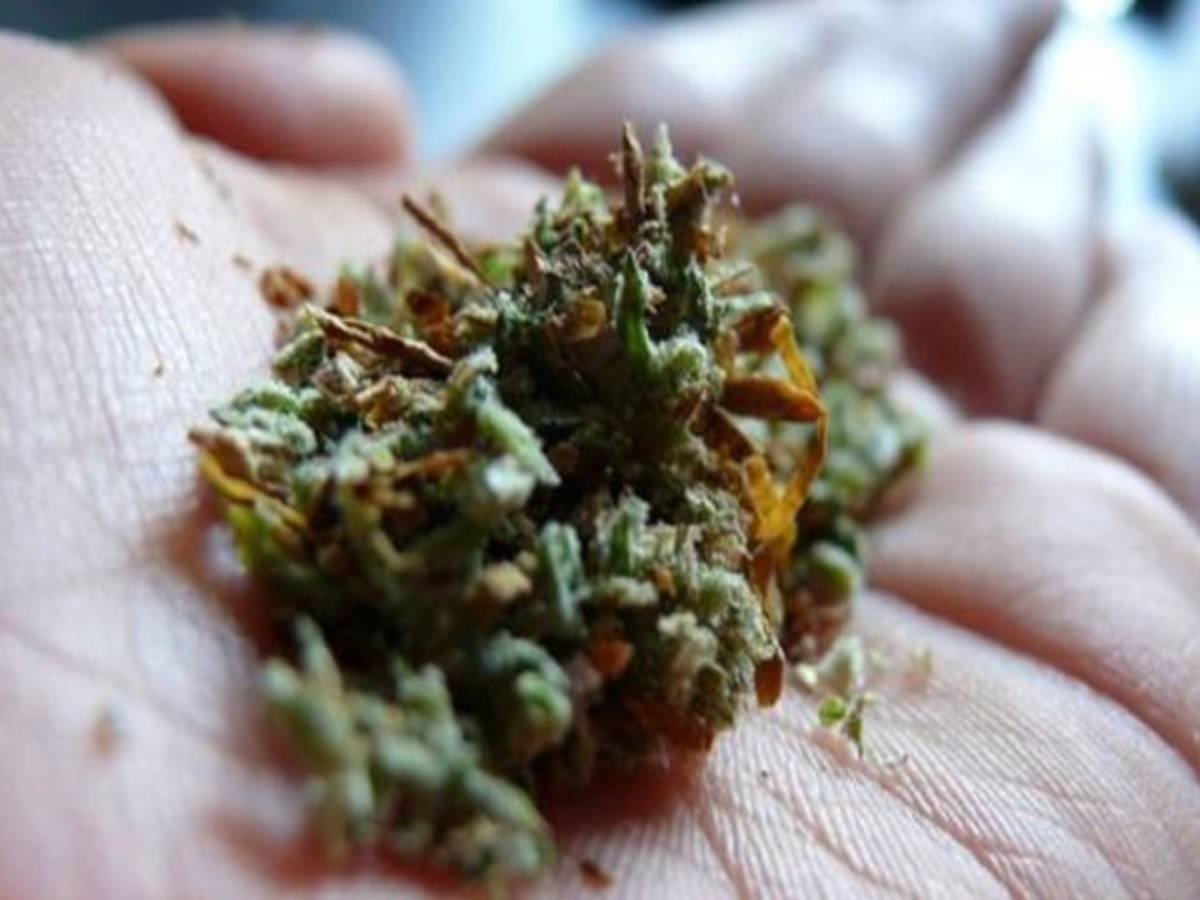 పుట్టినరోజు వేడుకల్లో గంజాయి.. పడ్డుబట్ట యువతీయువకులు