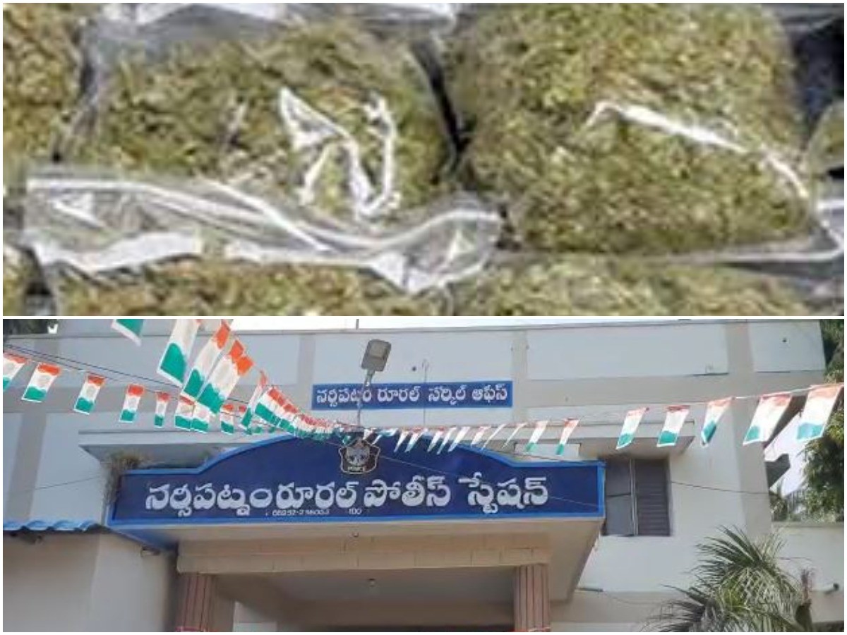 వాటెన్ ఐడియా.. గంజాయి సాగులో నయా ట్రెండ్!