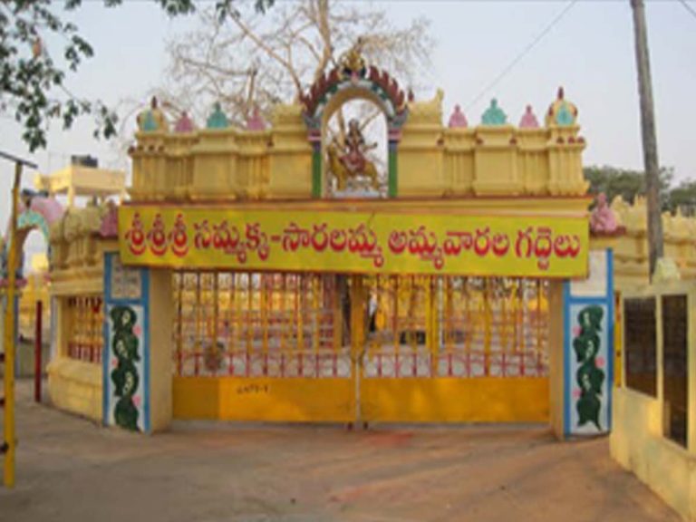 మహా జాతరపై చిన్న చూపేలా..?