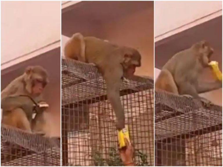 నీ కళ్ళజోడు నీకిస్తే..నాకేంటి లాభం?