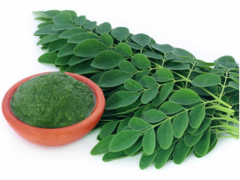 సూపర్ ఫుడ్: మునగాకుతో 300 వ్యాధులు దూరం