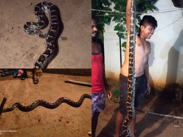 పోలవరం నిర్వాసిత గ్రామాల్లో కొండ‌చిలువ హ‌ల్ చ‌ల్