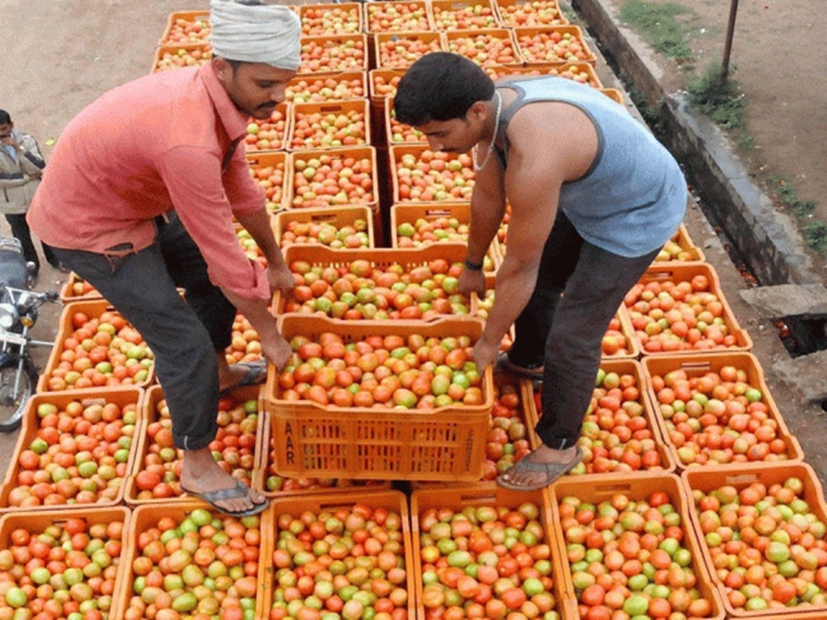 చుక్కలు చూపిస్తున్న  టమోటా ధరలు .. కిలో ధర రూ. 80