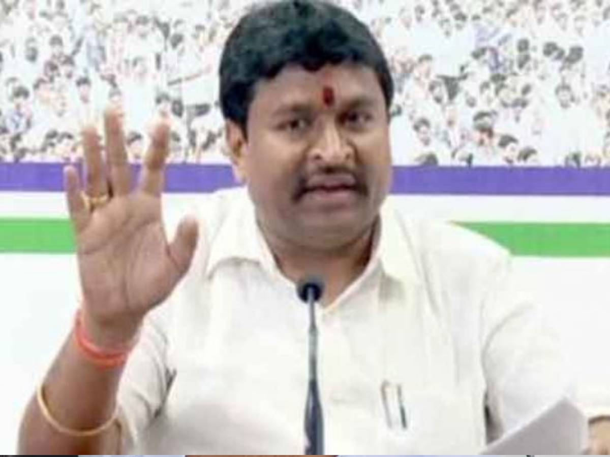 టీడీపీ శ్రేణులను అడవి పందులతో పోల్చిన మంత్రి వెల్లంపల్లి